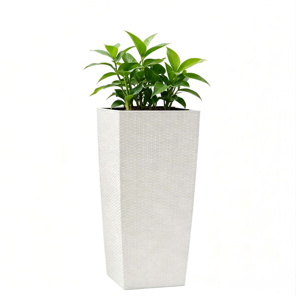 Indoor Outdoor Planter with Automatic Watering System - Dark Brown, Black, or White