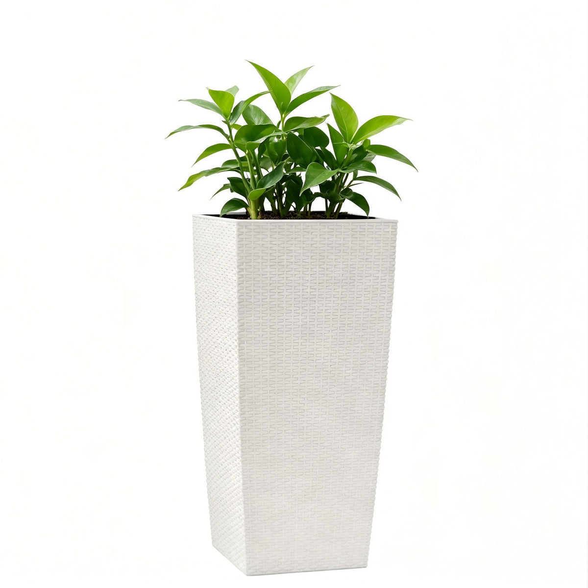 Indoor Outdoor Planter with Automatic Watering System - Dark Brown, Black, or White
