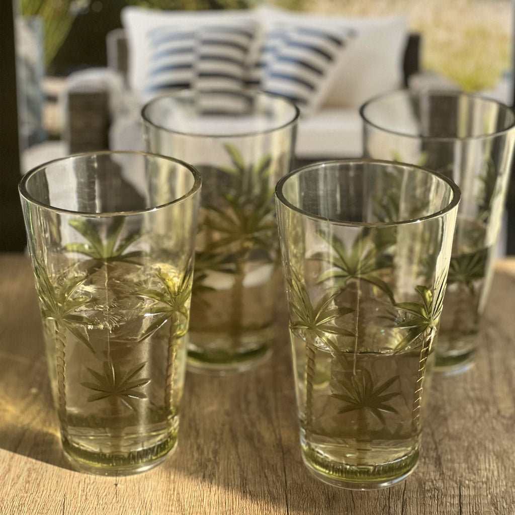 Palm Tree Design Acrylic Hi Ball Glasses with BPA-Free Durability - Clear