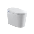 Tankless Smart Toilet With Bidet Built In