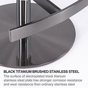 Titanium Stainless Steel Bar Stool with Backrest