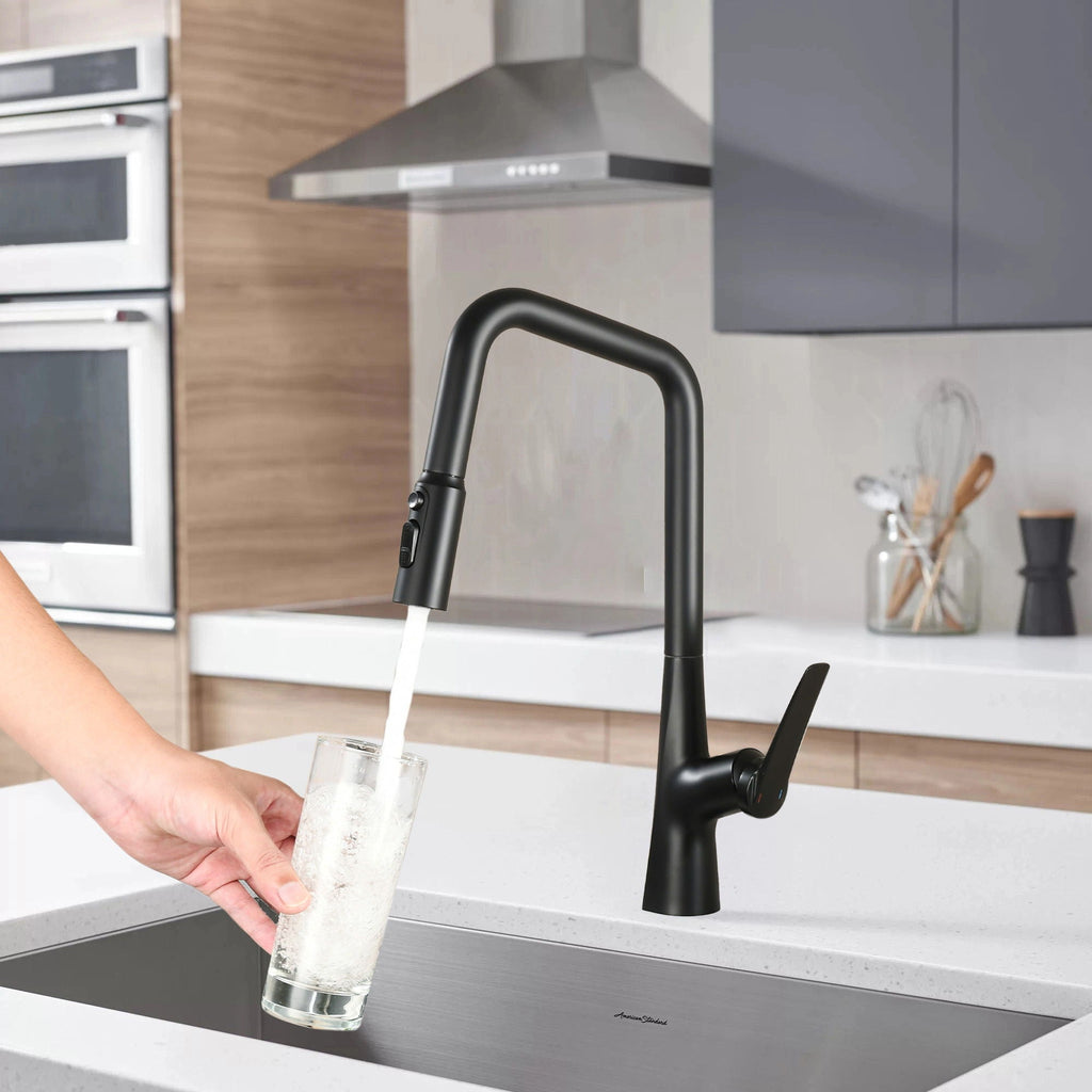 Professional Kitchen Faucet with 3-Function 360 Sprayer - Black or Pearl Silver