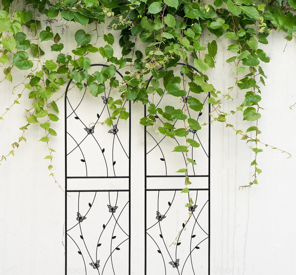 Metal Garden Trellis 4 Pack with Rustproof Finish - Black
