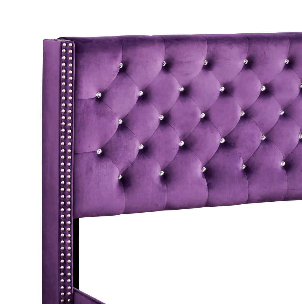 Upholstered Nailhead Trim Chic Bed with Tufted Headboard - Multiple Colors