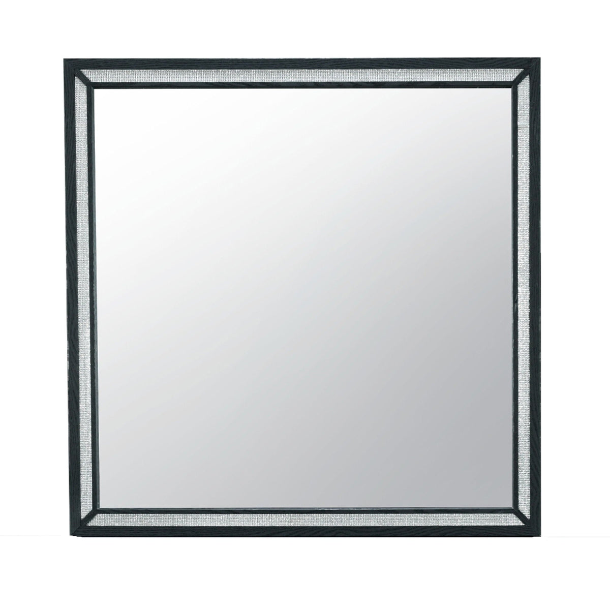Black Modern Mirror with Large Scale - Carlos