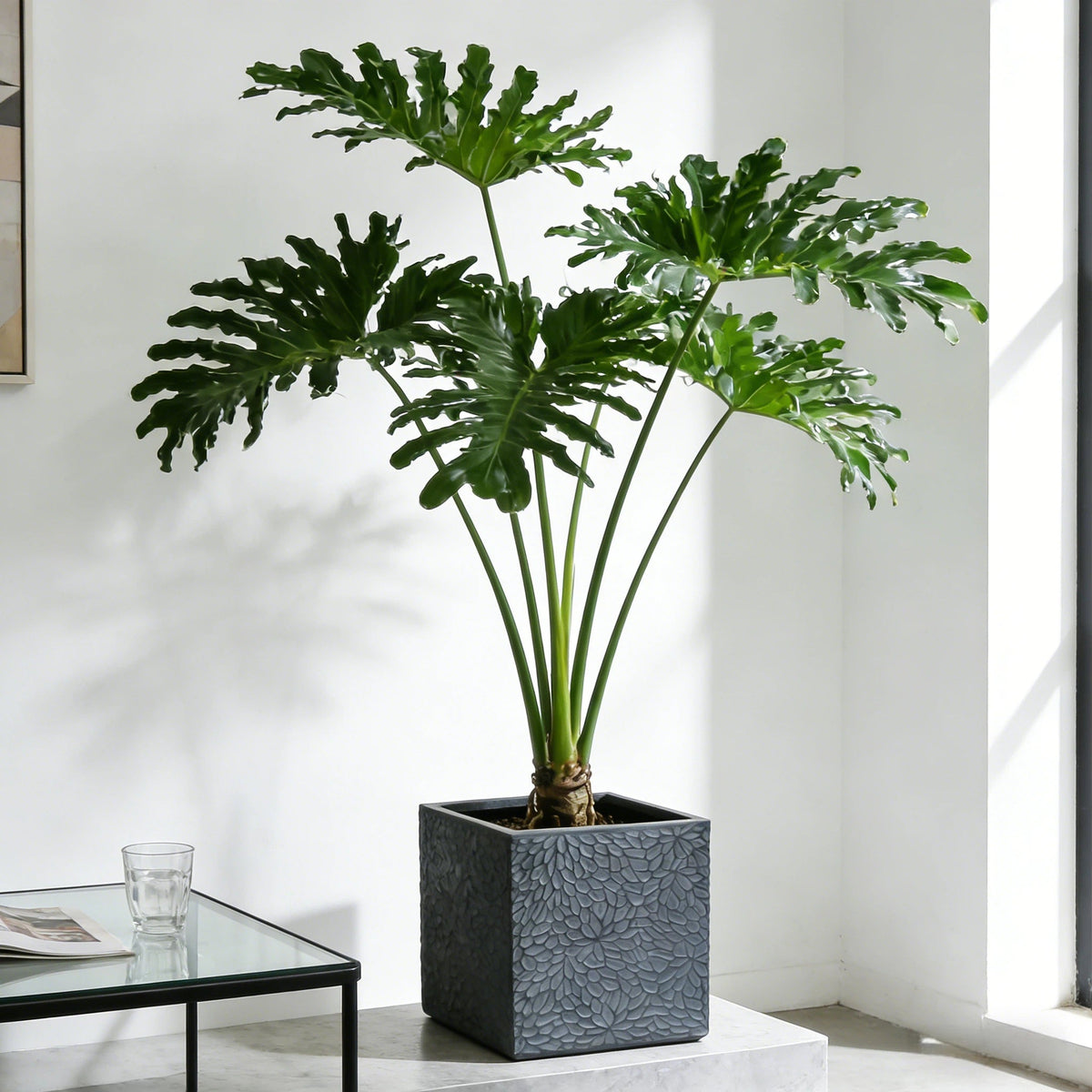 Large Outdoor Indoor Magnesium Oxide Planter Set of 4