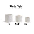 Webbing Planters
